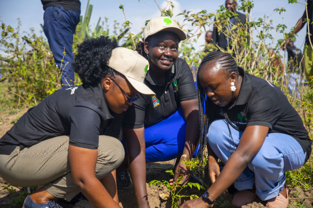 Stakeholders at the 11th National Agroforestry Symposium in Musoma, Tanzania.
