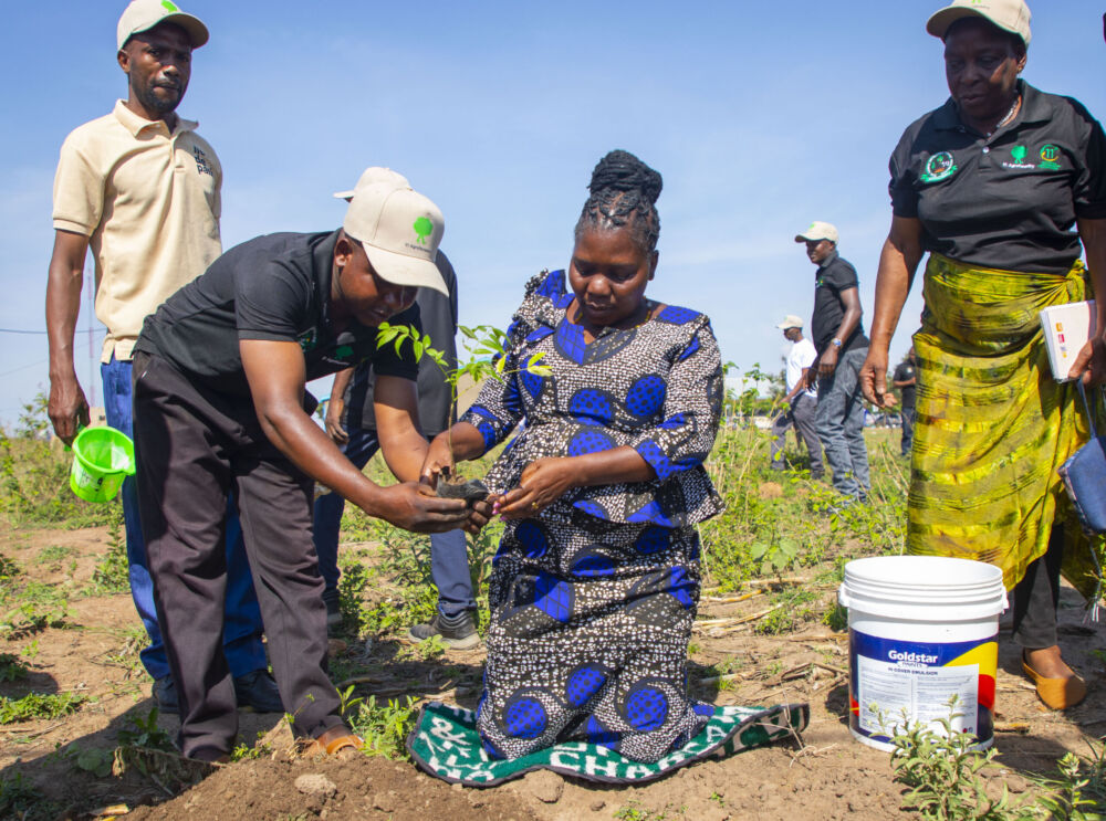 Stakeholders planting trees at Nyabisare Primary School in Musoma during the 11th National Agroforestry Symposium.